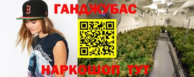 ECSTASY Будённовск