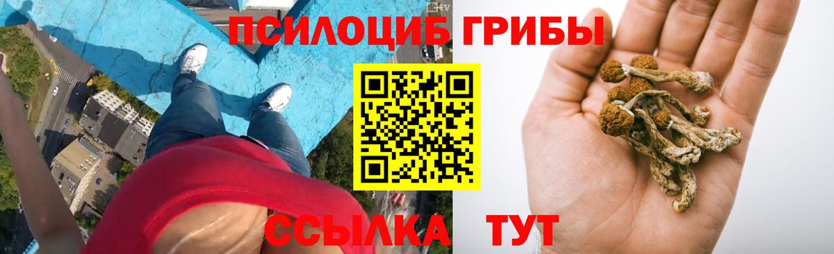 Псилоцибиновые грибы Magic Shrooms Шебекино